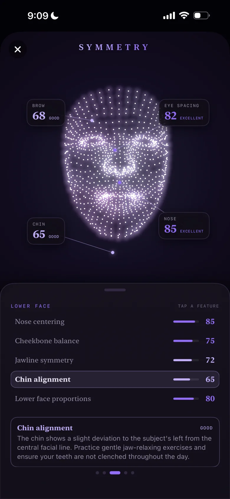 Symmetry IQ symmetry report — 3D face mesh with per-feature scores for brow, eye spacing, nose and chin